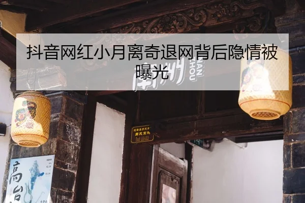 dou-yin-wang-hong-xiao-yue-li-qi-tui-wang-bei-hou-yin-qing-bei-bao-guang-2-566.jpg